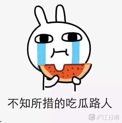 路人吃瓜娱乐圈,路人吃瓜，揭秘明星幕后故事